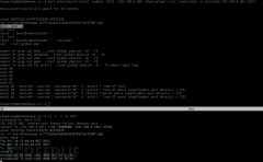 對(duì)ShadowBrokers Envison Collision漏洞的利用分析