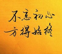 SEO篇章：SEO小白如何正確的學(xué)習(xí)seo(圖文)